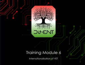 Module 6 – Internationalisation of VET